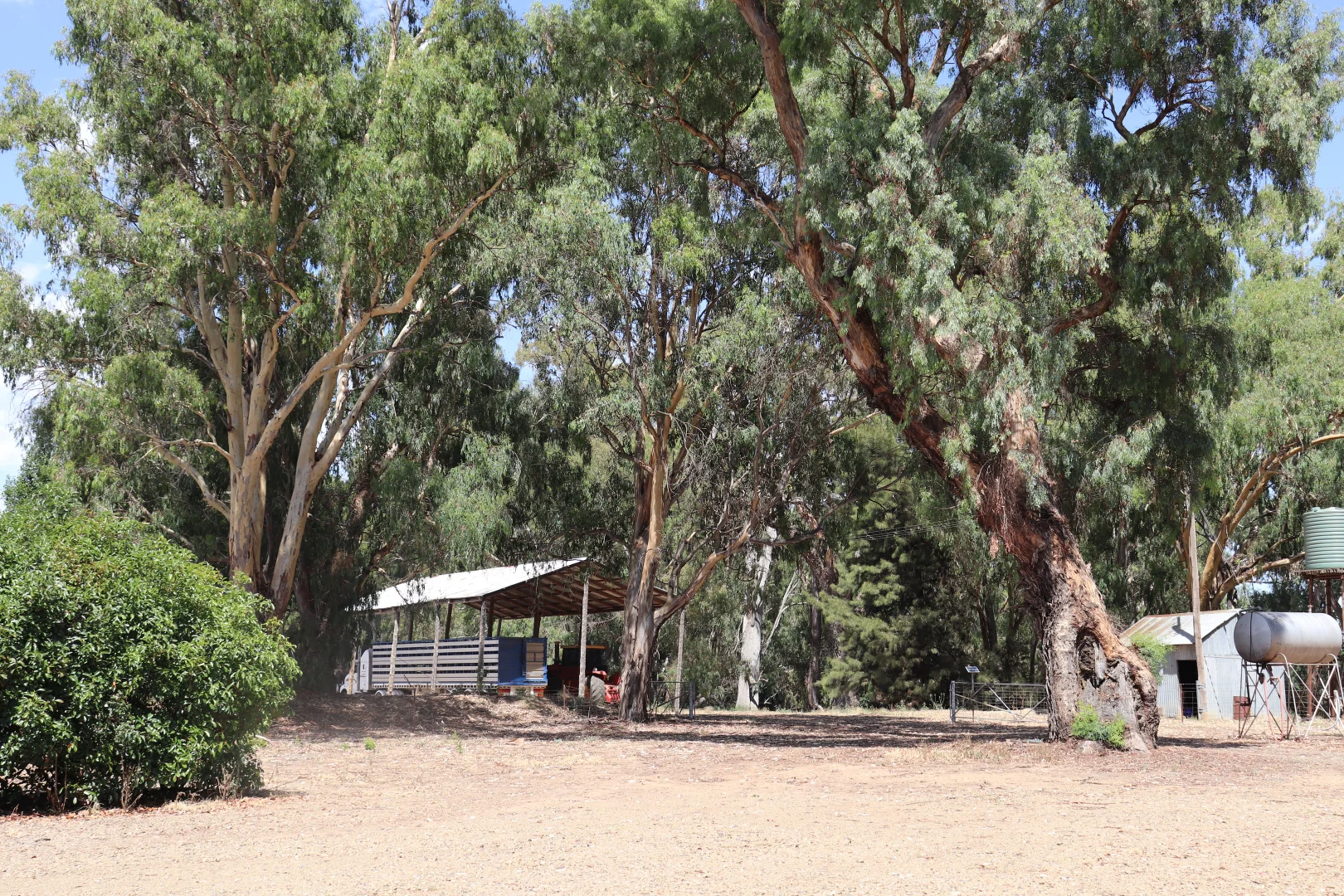 Image 8