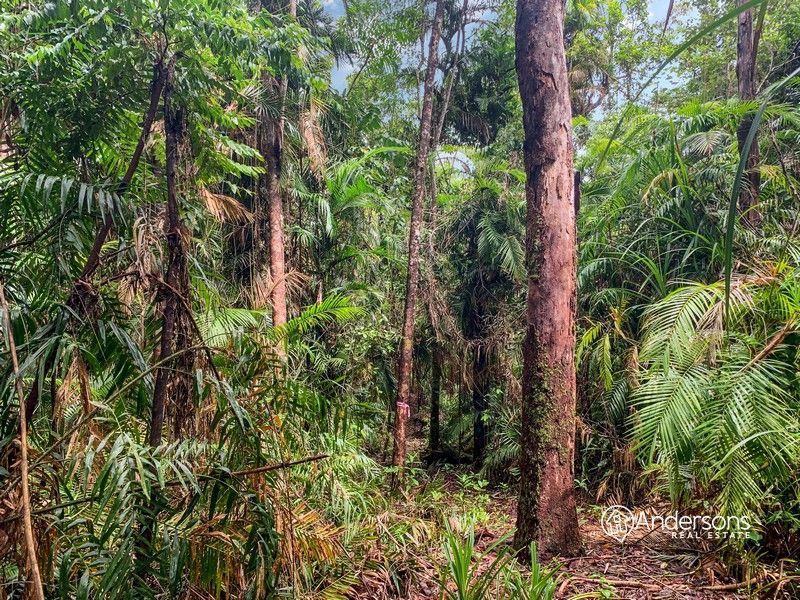 Lot 4 Mountain View Close, Maria Creeks QLD 4855, Image 1