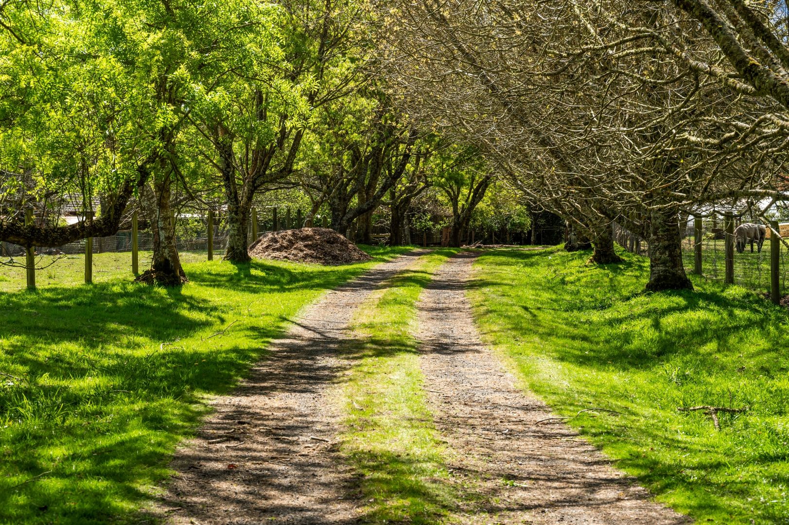 15 Lockheeds Road, Little Hampton VIC 3458 Domain