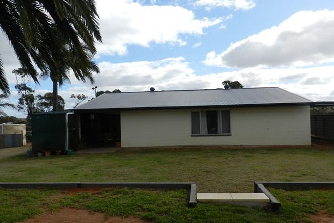 Picture of 280 Costello Road, LOVEDAY SA 5345