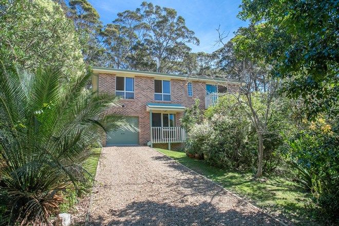 131 Houses For Sale In Long Beach Nsw 2536 Domain