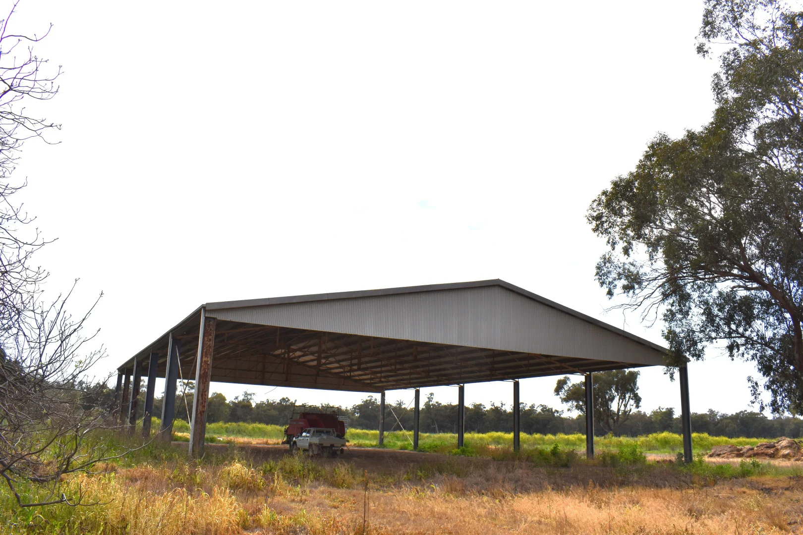 Image 7