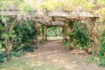 Image 35
