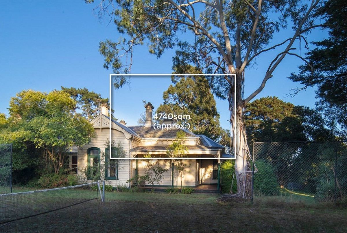 63 Woodhouse Grove, Box Hill North VIC 3129 Domain