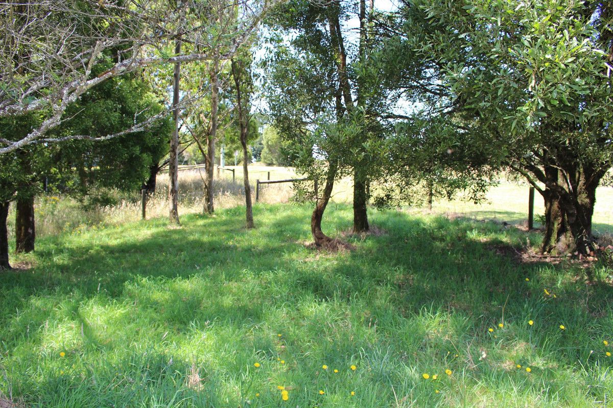 2 Buchanan Street, Beech Forest VIC 3237, Image 2