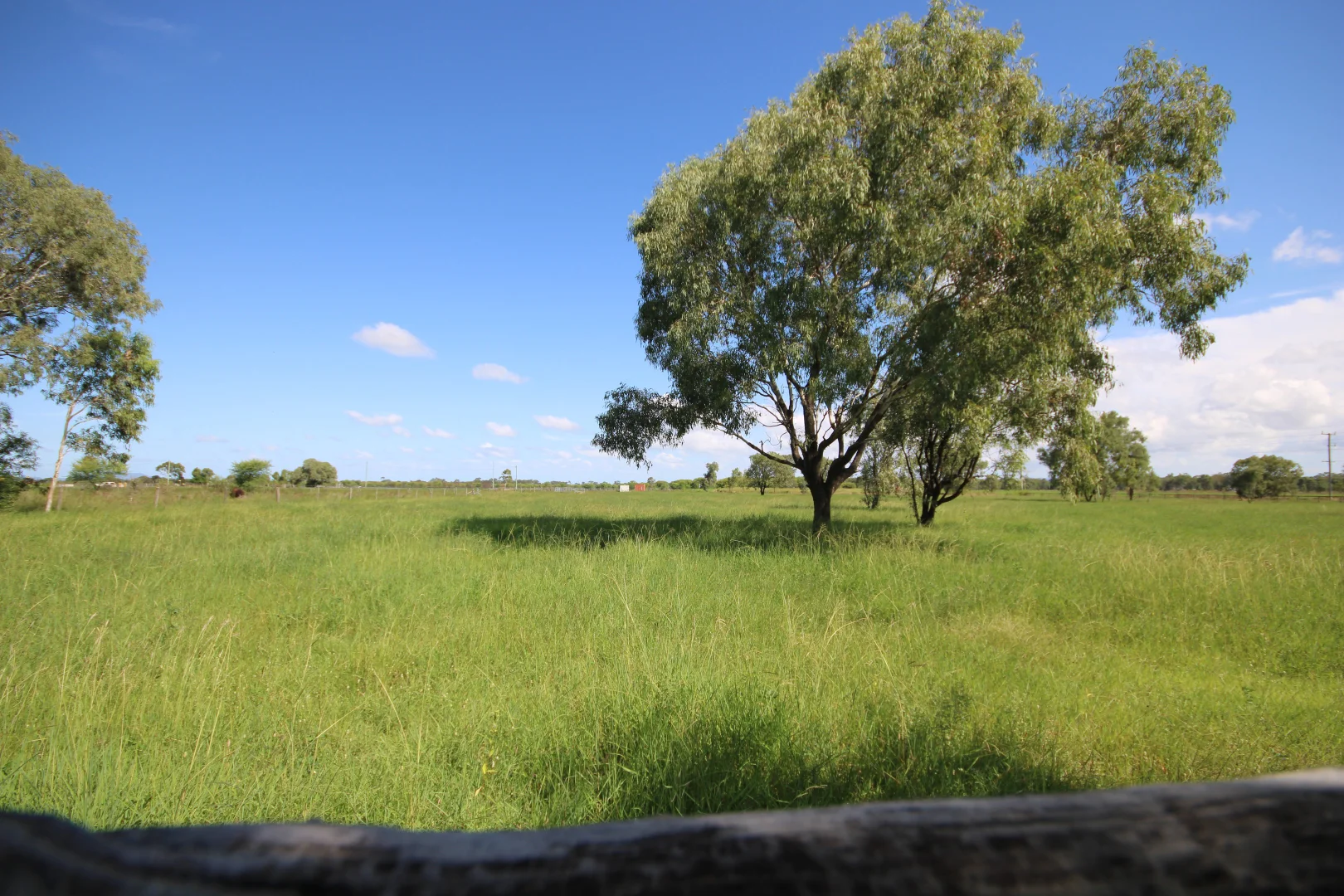 Image 35
