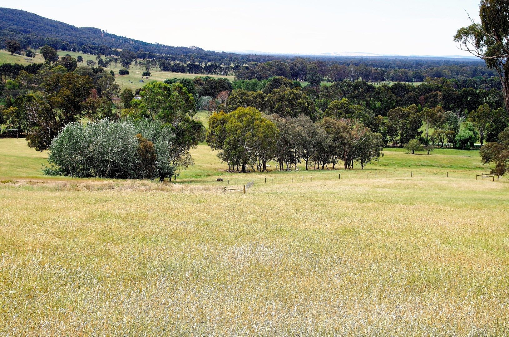 Lot 119B Davies Rd, Warrenbayne VIC 3670, Image 2