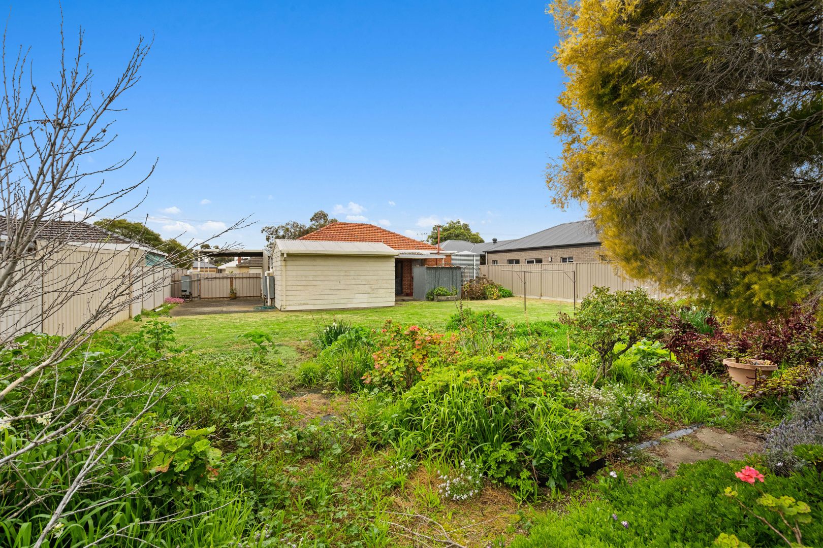 10 Honeyton Street, Seaton SA 5023 House For Rent 510 Domain