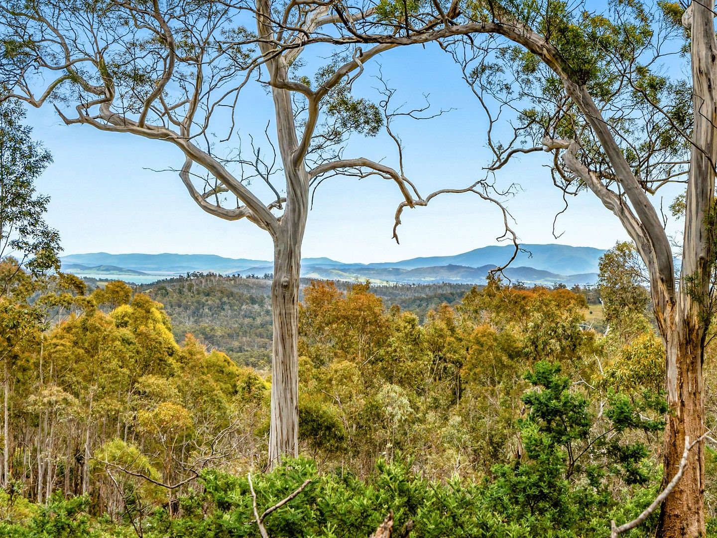 Lot 4 White Hill Road, Forcett TAS 7173 Vacant Land for Sale