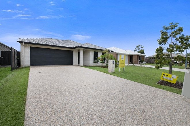1051 Real Estate Properties For Sale In Bli Bli Qld 4560 Domain