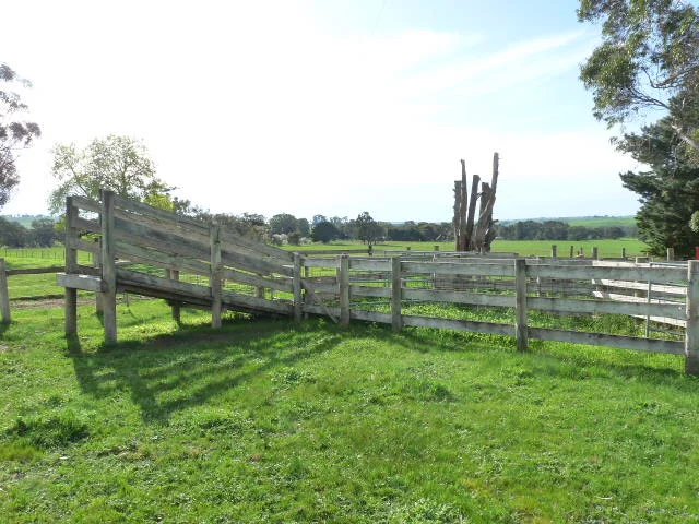 Image 8