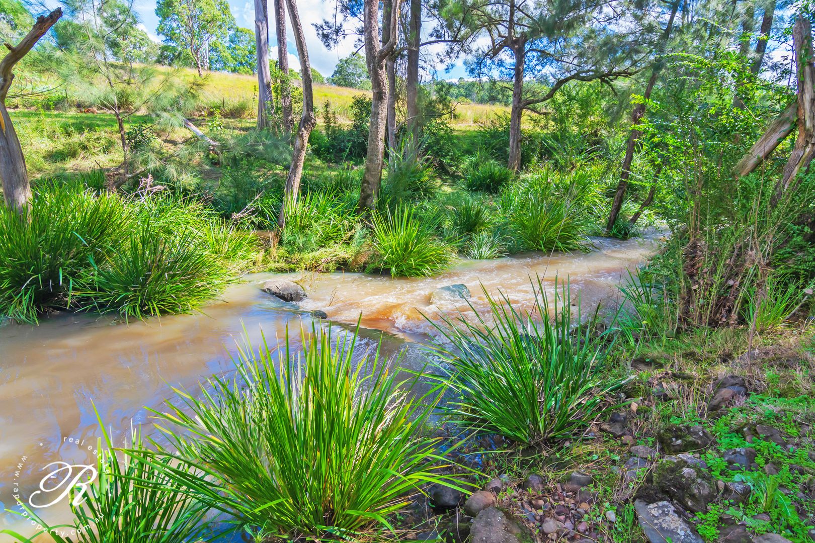 390 Belbora Creek Road, Belbora NSW 2422, Image 2