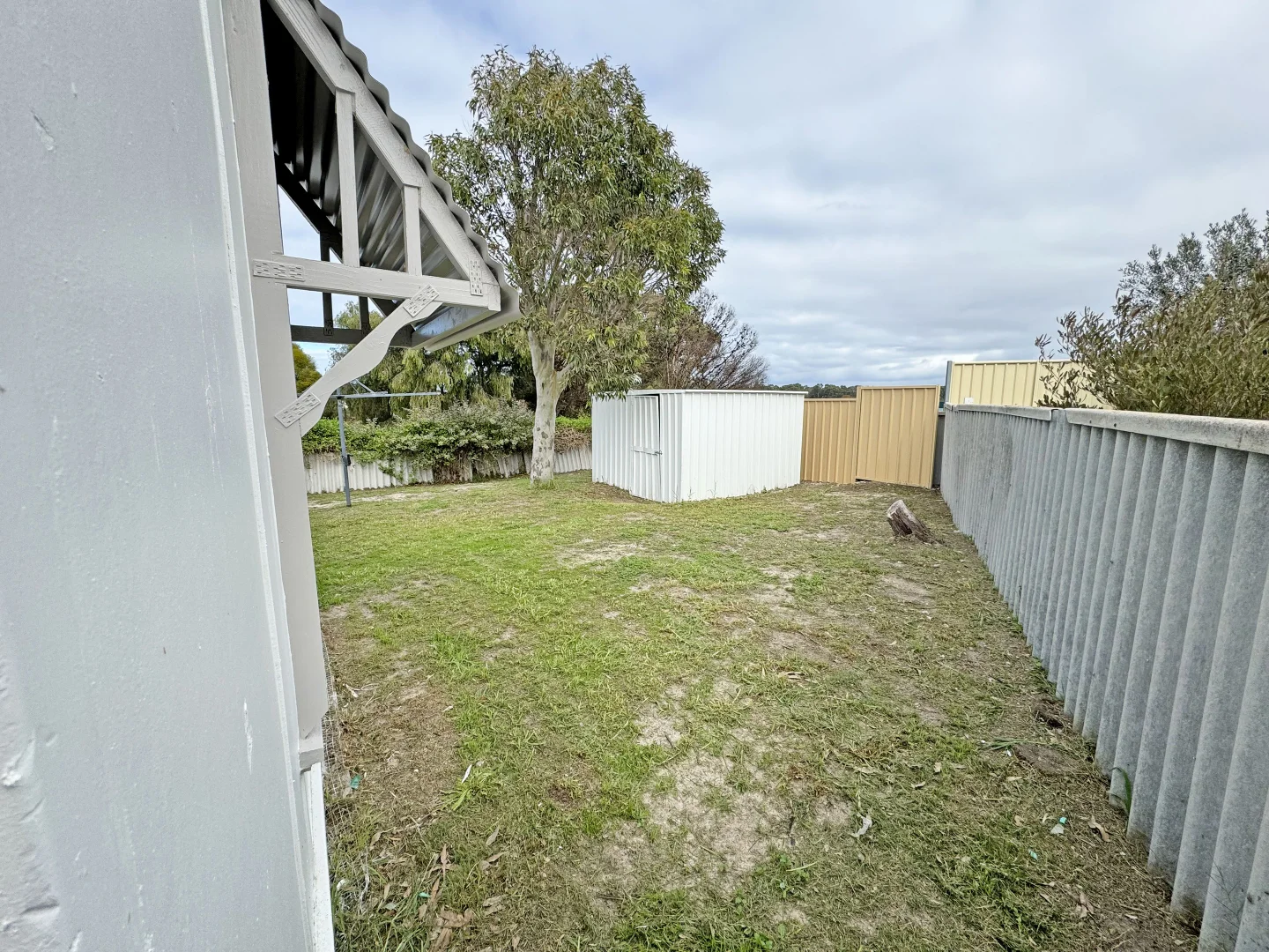 Image 19