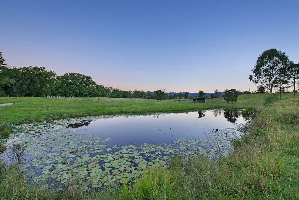 67 Juffs Road, Dayboro QLD 4521 House for Sale 1,750,000