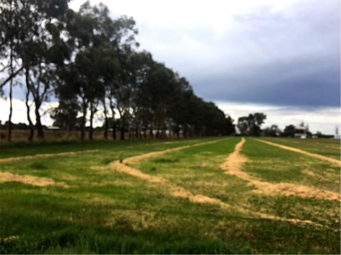 1598 Numurkah Road, Strathmerton VIC 3641 House for Sale Domain