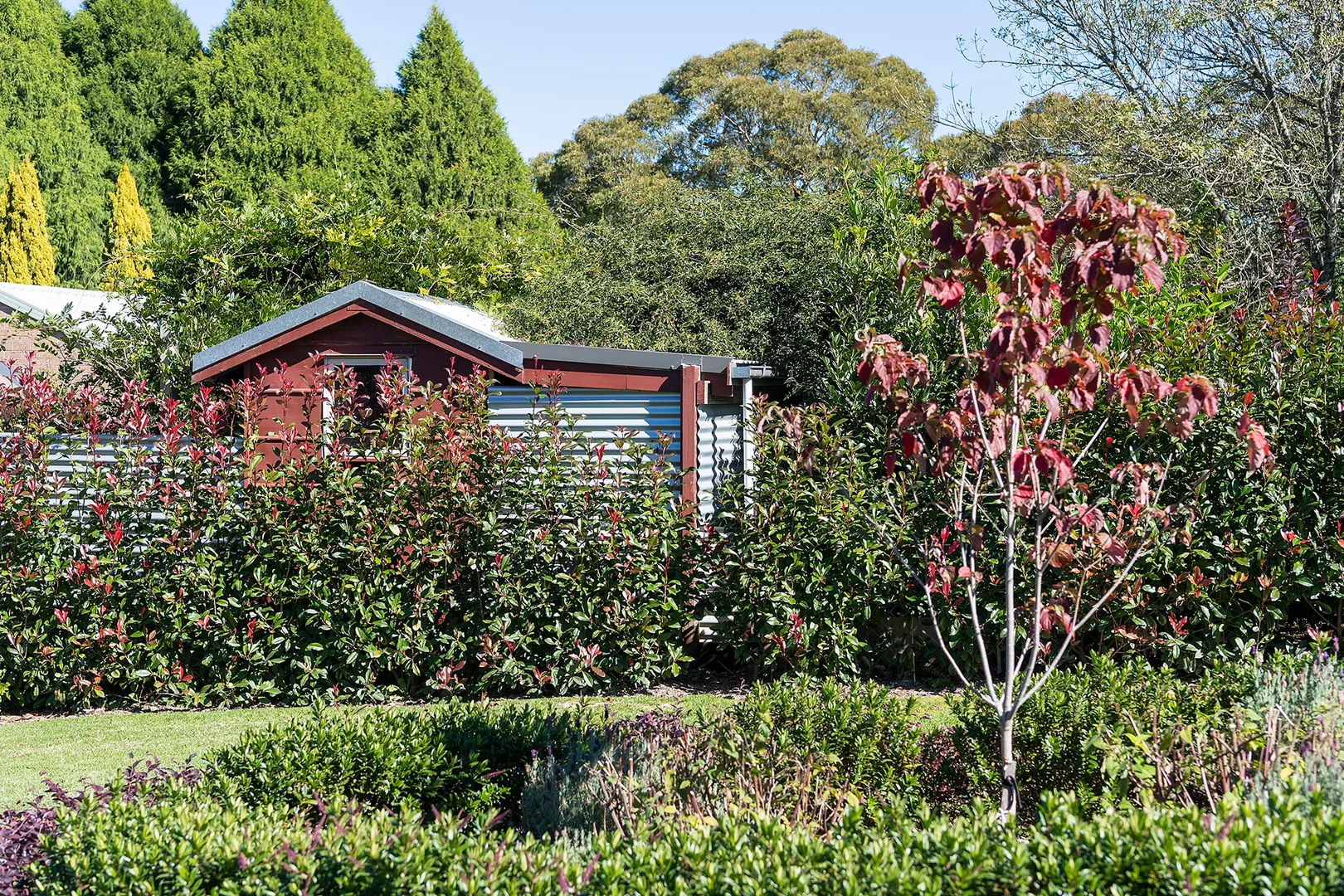 Additional image 19 of 34 Nerrim Street, Bundanoon NSW 2578