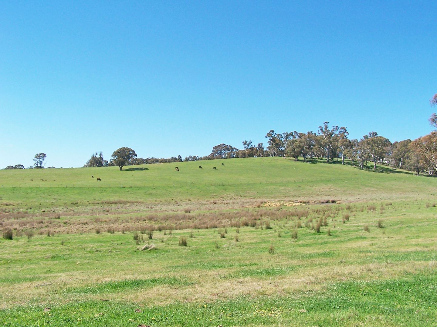 Wheeo Road, Crookwell NSW 2583, Image 1