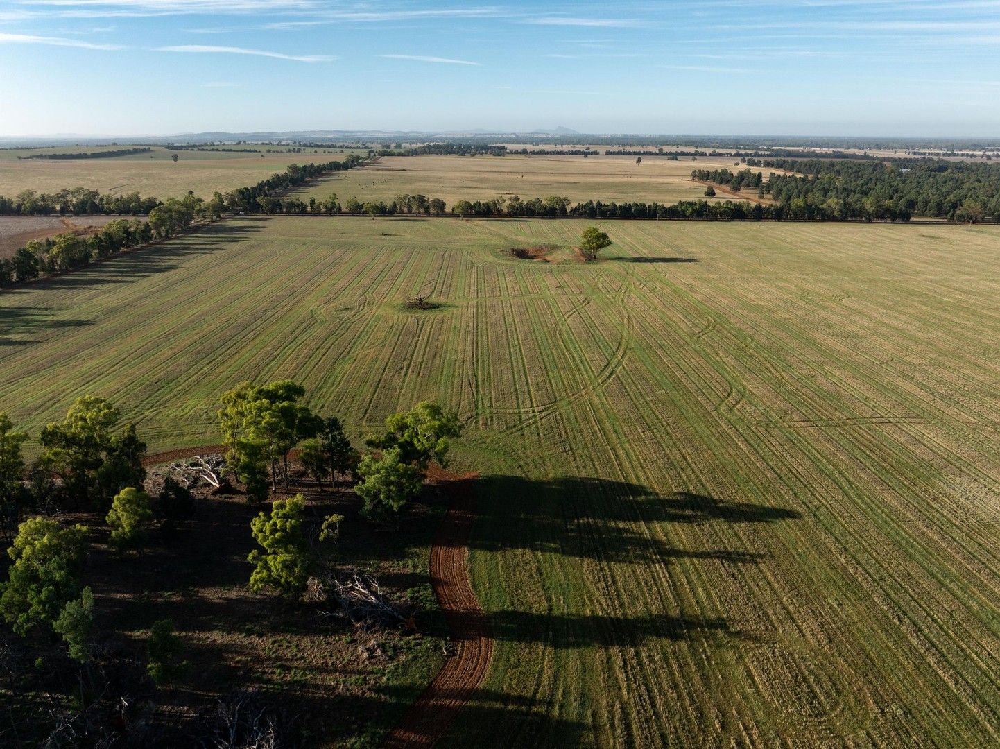 Rural in 2129 The Gap Road, WAGGA WAGGA NSW, 2650