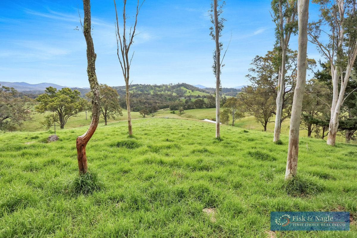 104 Hawks Head Road, Brogo NSW 2550, Image 0