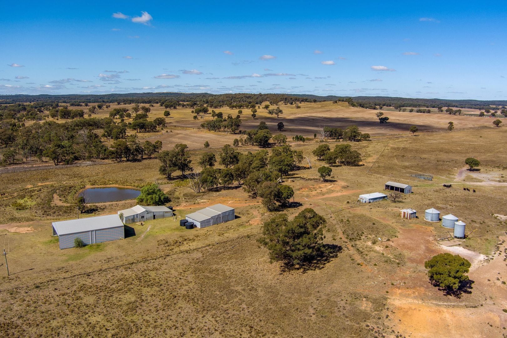 569 Wongoni Road, Dunedoo NSW 2844 House for Sale Domain