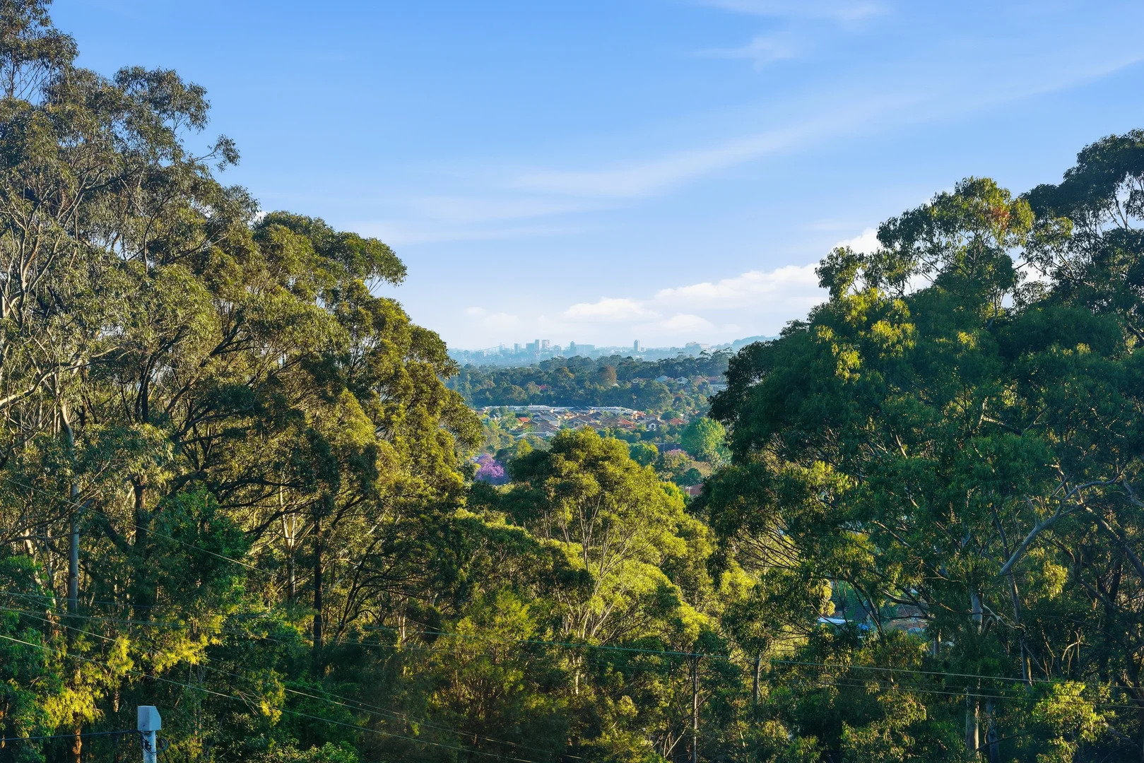 8 Alanson Ave, Bulli NSW 2516 | Domain