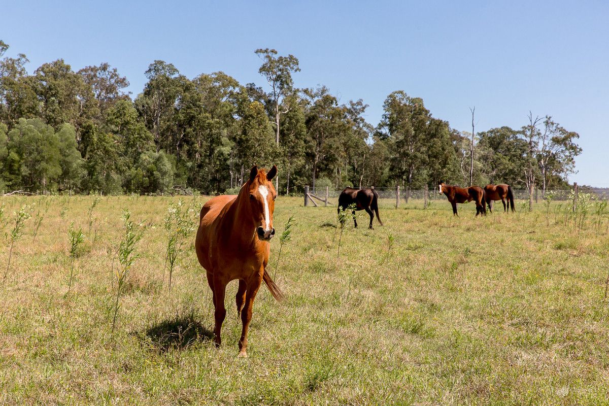 Tullymorgan Road, Tullymorgan NSW 2463, Image 1