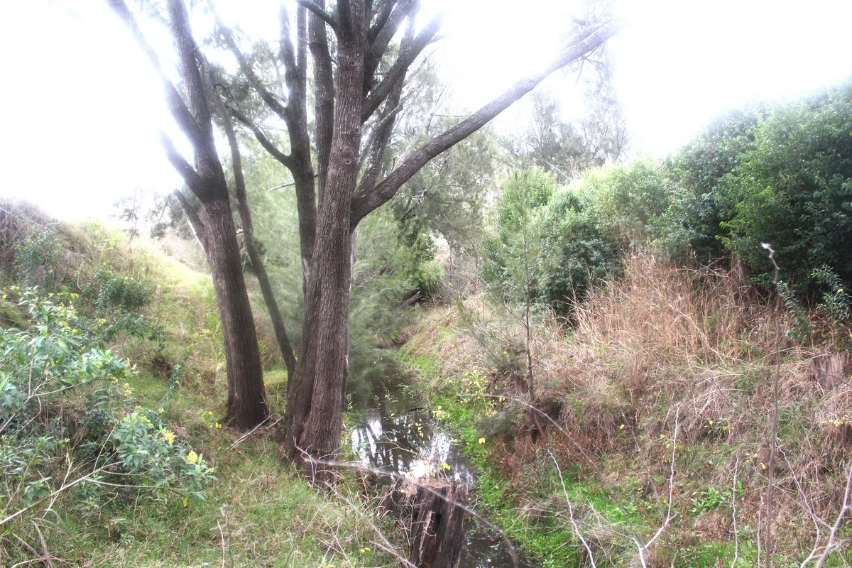 Image 11