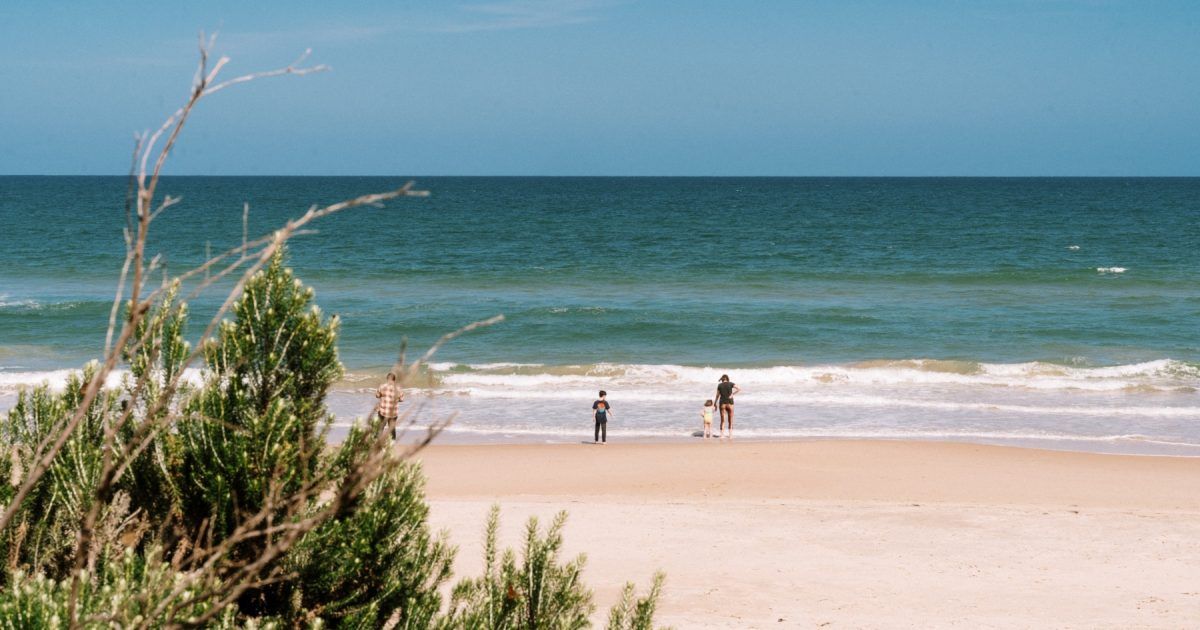 103 Woodside Beach Road, Woodside VIC 3874 House for Sale Domain