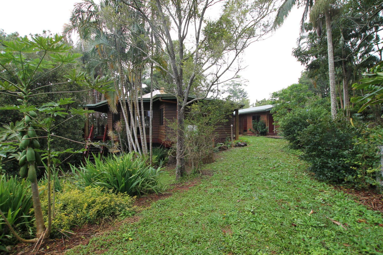 35 Park Avenue, Yungaburra QLD 4884, Image 2