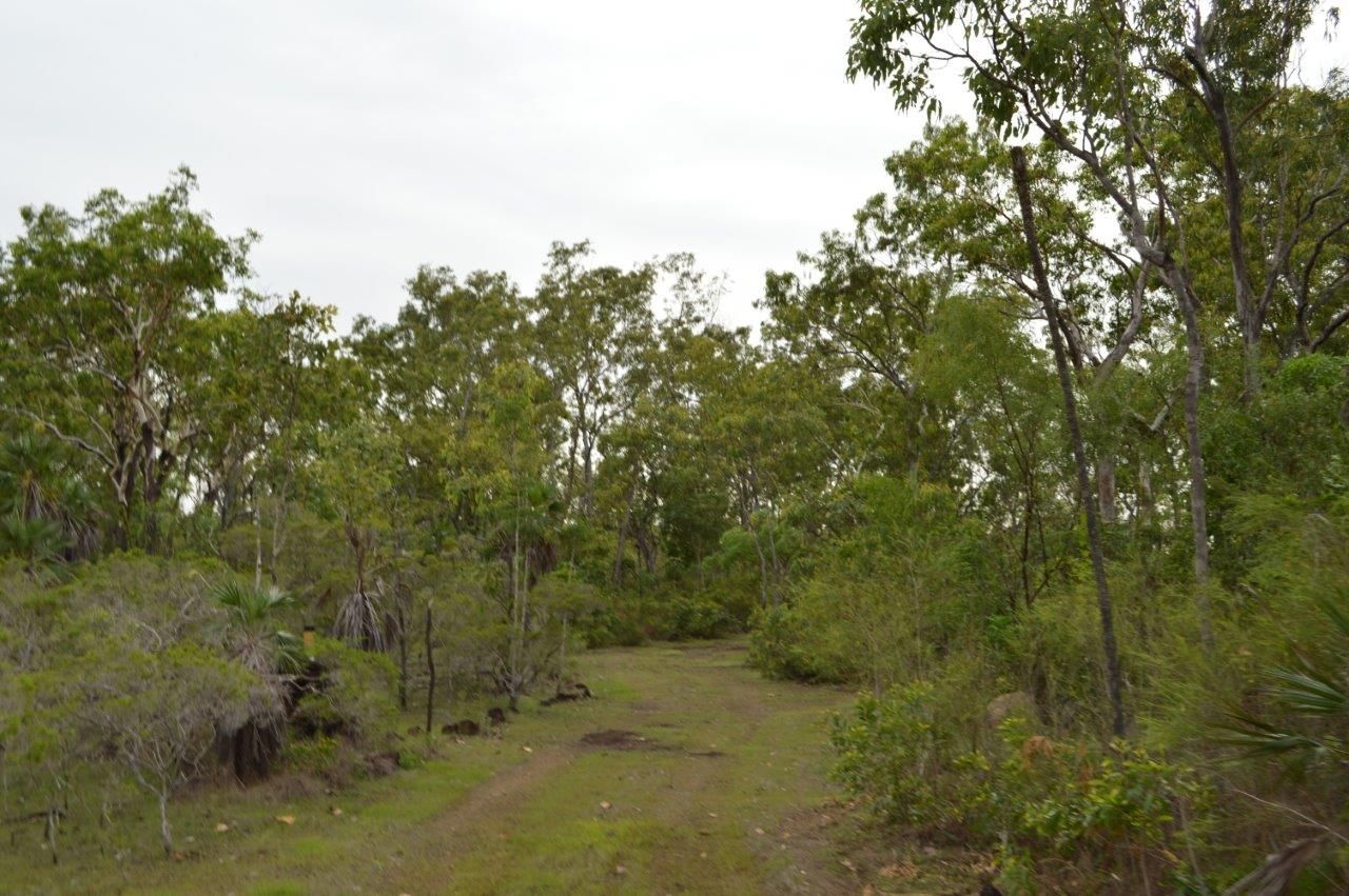 Lot 3501-4 Fog Bay Road, Dundee Forest NT 0840, Image 2