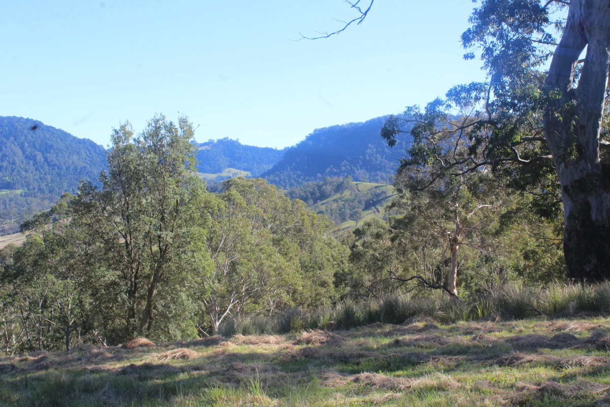 Image 10
