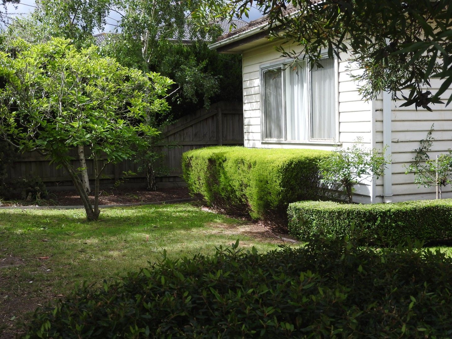 3 bedrooms House in 34 Halliday Street MOUNT WAVERLEY VIC, 3149