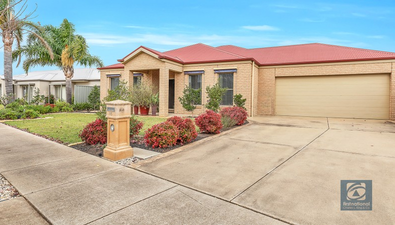 Picture of 15 Sunset Avenue, ECHUCA VIC 3564