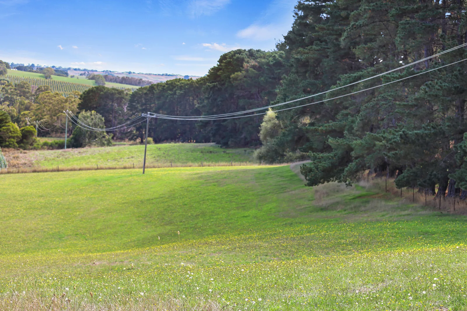 Additional image 19 of 900 Williams Road, Scotts Creek VIC 3267