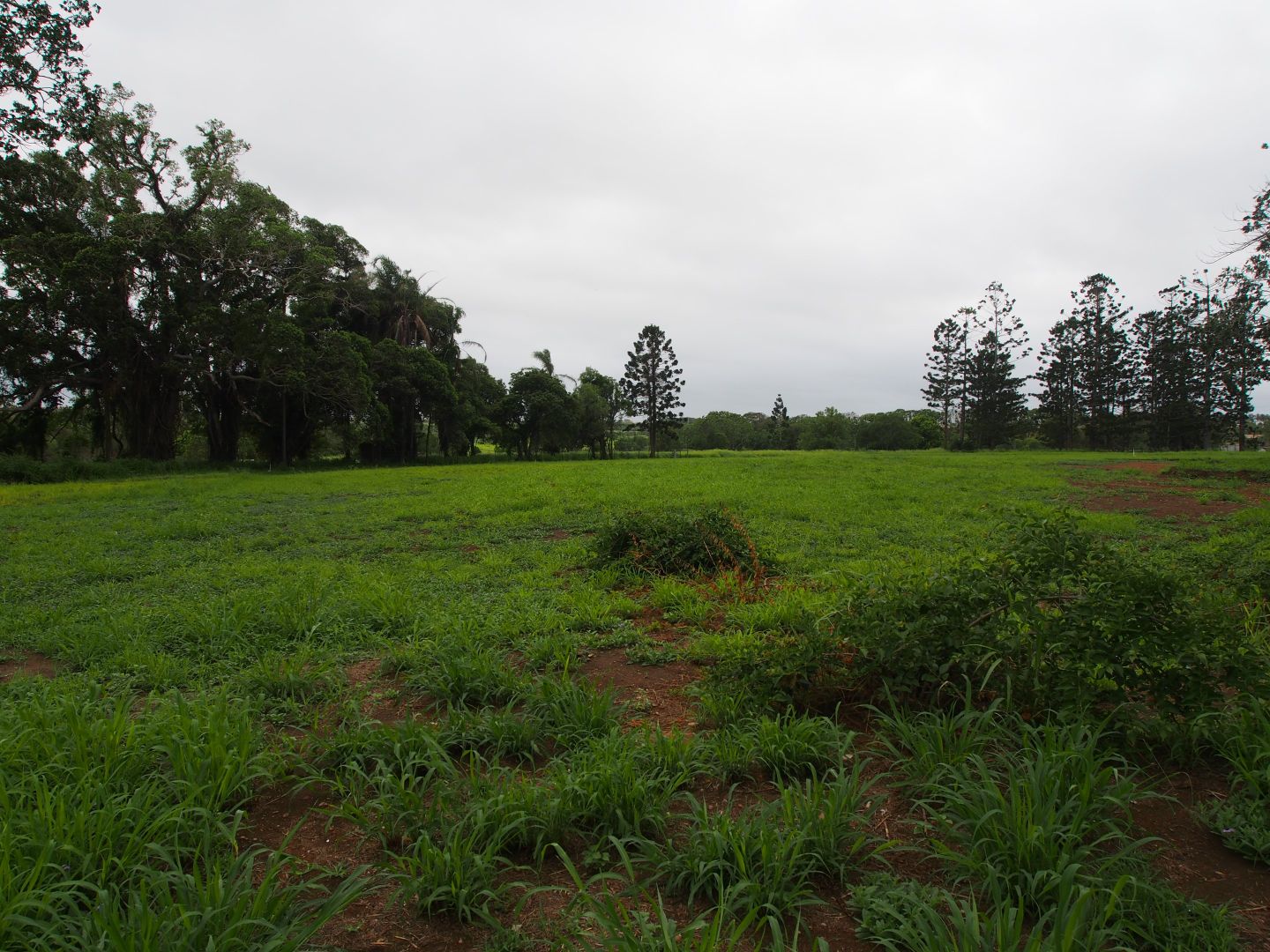 Lot 2 CSR DEPOT ROAD, Childers QLD 4660, Image 2