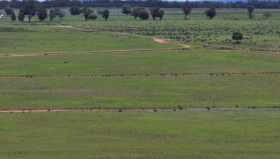 Picture of 'Mentone' 1521 Bruie Plains Road, TRUNDLE NSW 2875