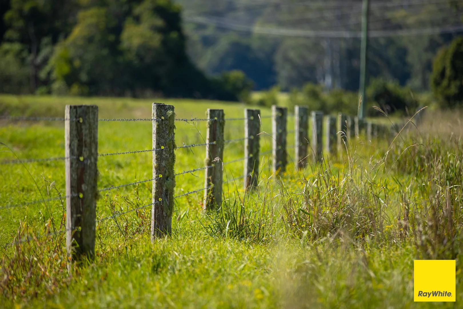 Additional image 7 of 131 Crawford River Road, Crawford River NSW 2423