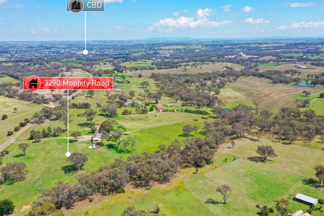 Picture of 3290 Moppity Road, YOUNG NSW 2594