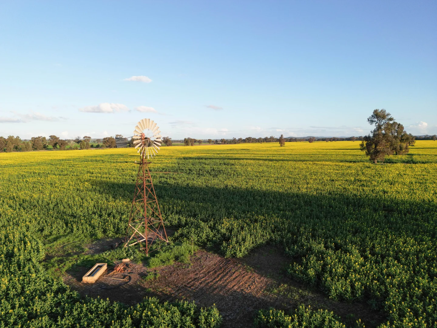 Image 12