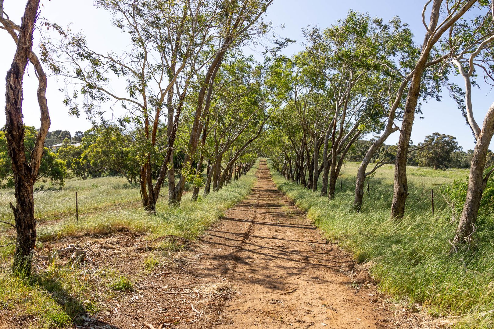 839 Campersic Road, Brigadoon WA 6069 Vacant Land for Sale Domain