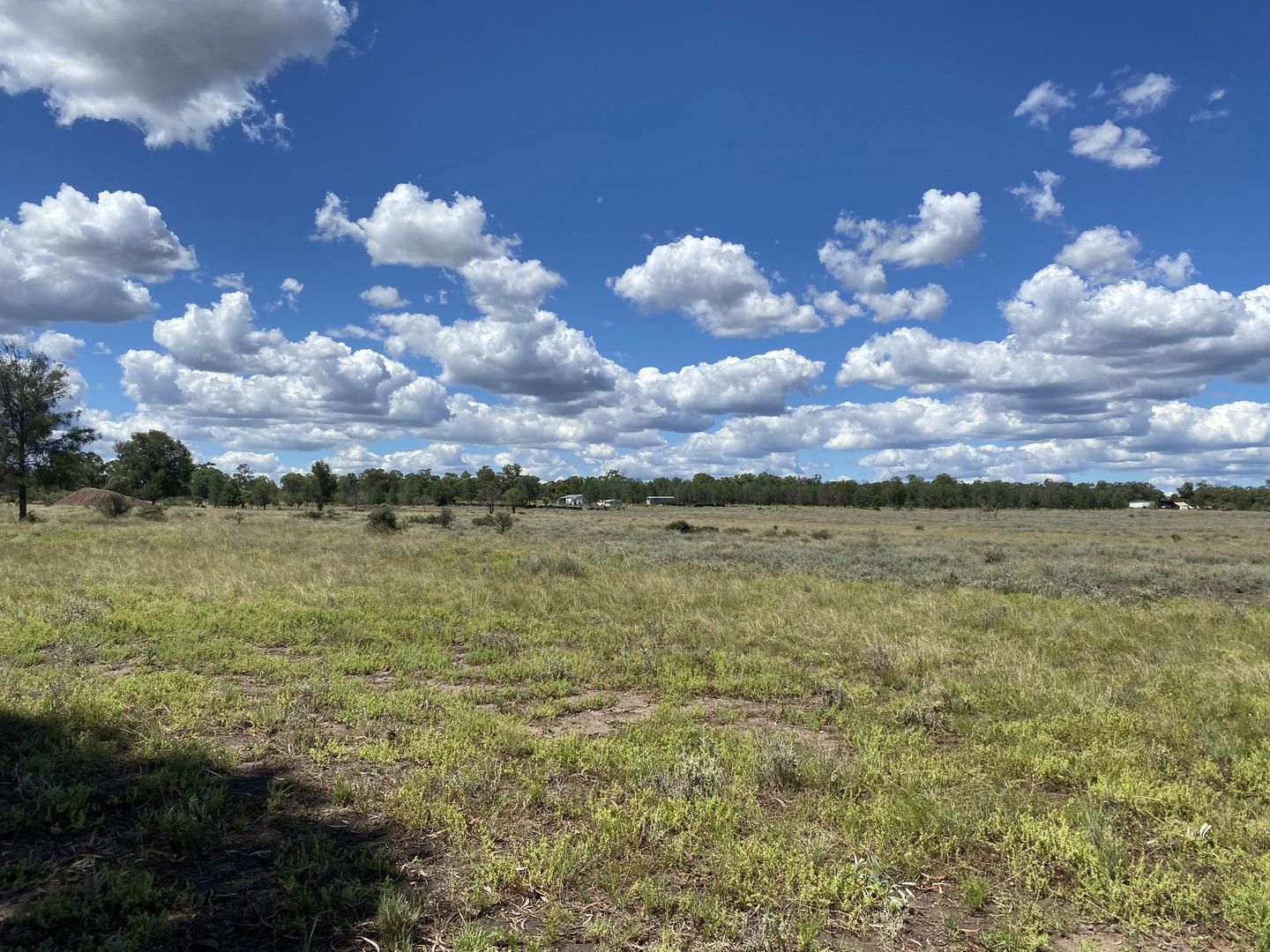 Acreage / Semi-Rural in , TARA QLD, 4421