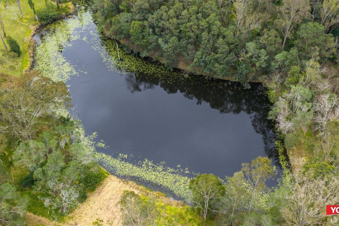 47 BYCROFT ROAD Pullenvale 4069 - Image 4