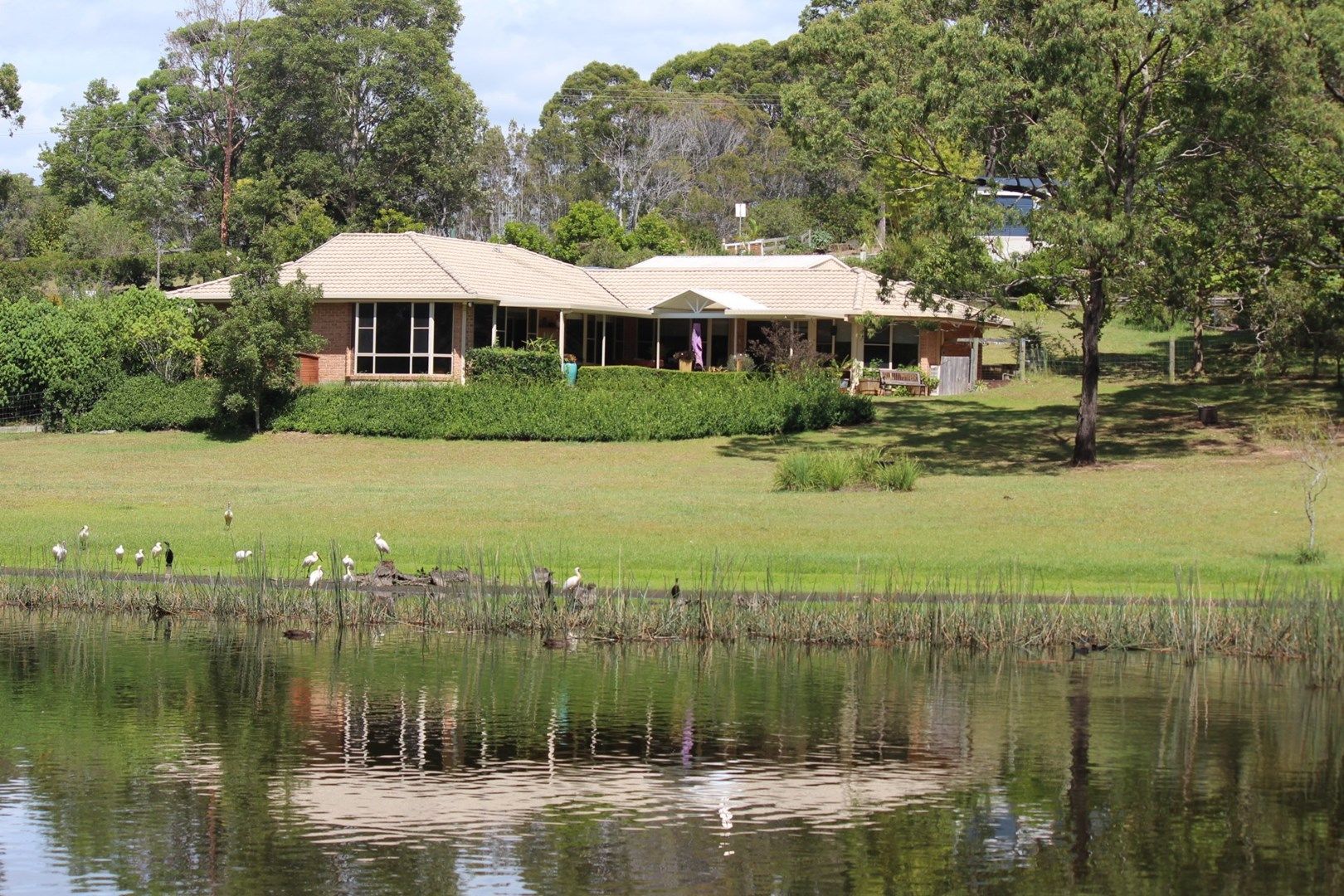 6 Headland Drive, Hallidays Point Property History & Address Research