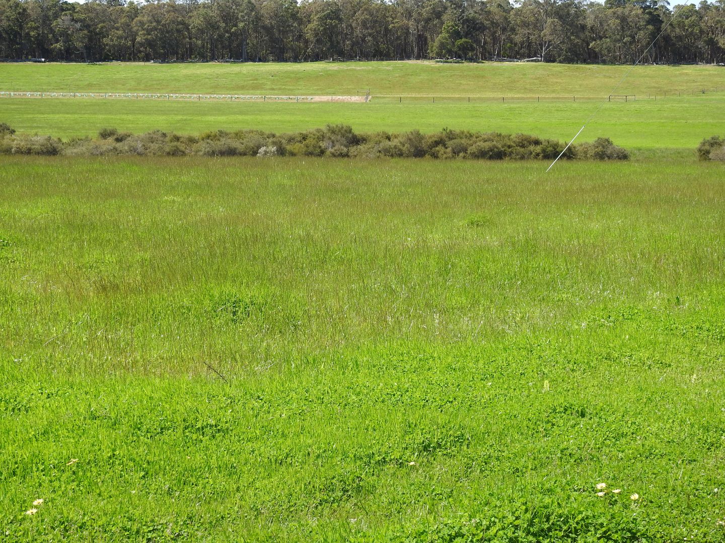 Lot 104 Bessell Road, Rosa Brook WA 6285, Image 1