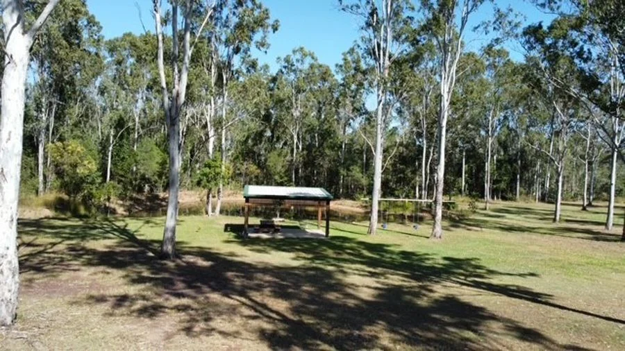 Image 6