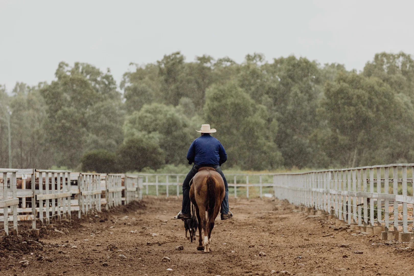 Additional image 10 of 2687 Dawson Developmental Road, Springsure QLD 4722
