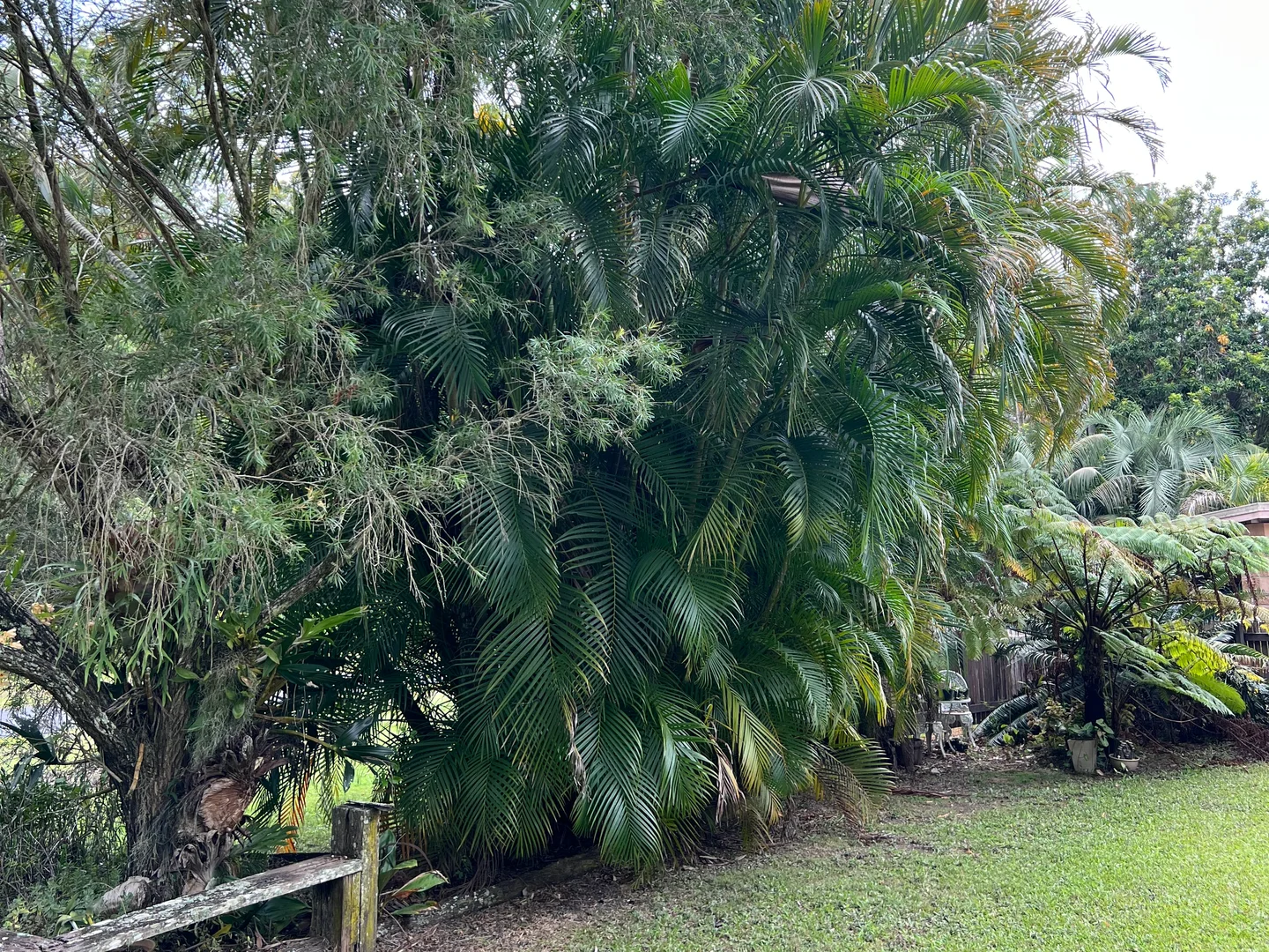 Additional image 8 of 72 Peterson Road, Woodford QLD 4514