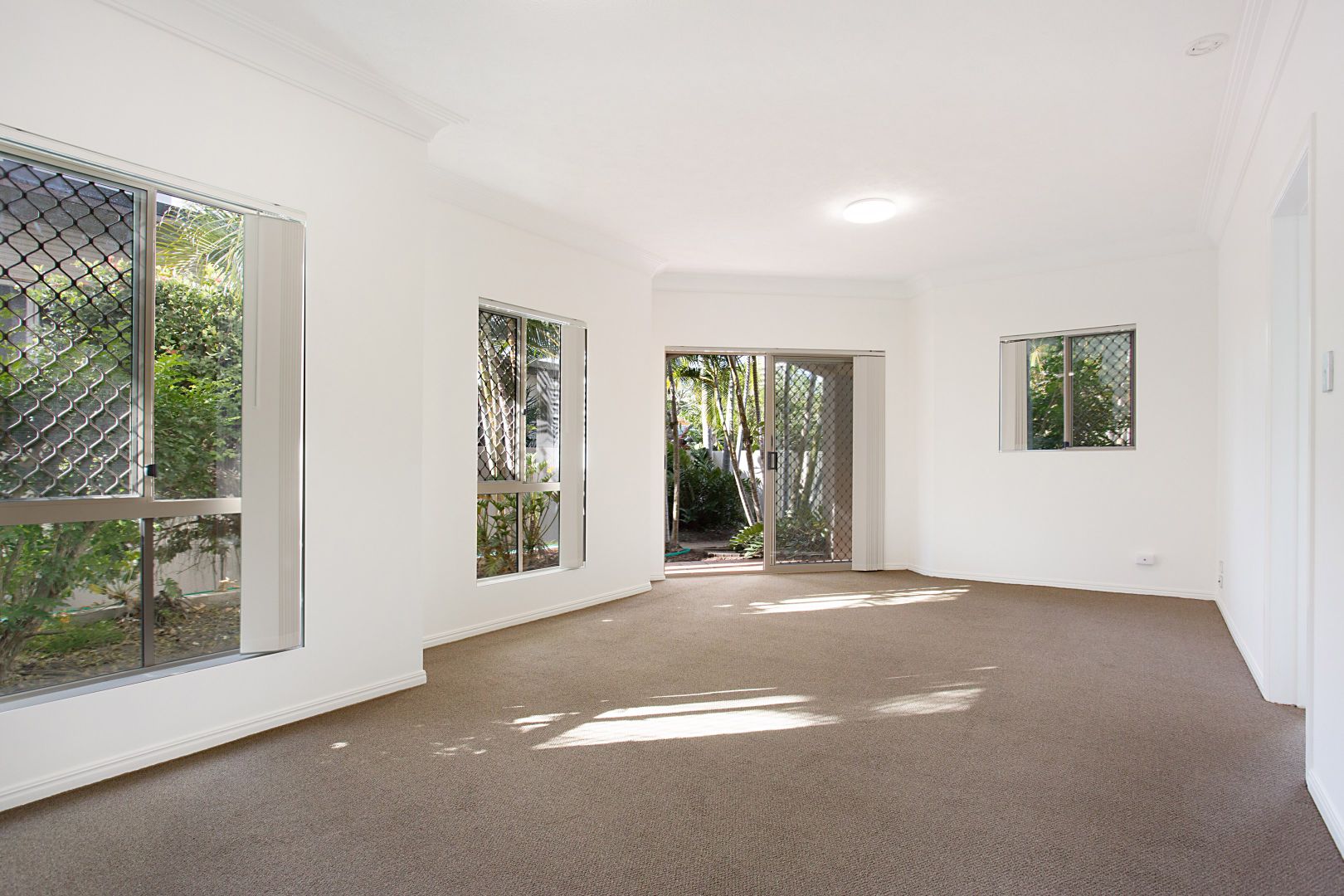 2/41 Britannia Avenue, Broadbeach QLD 4218 Apartment For Rent 750