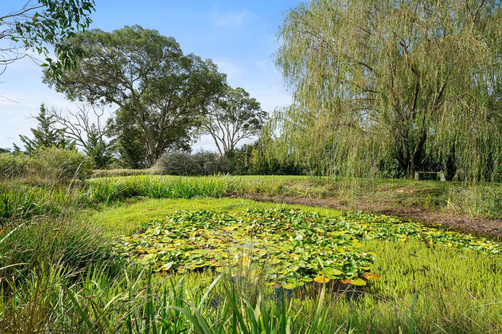 Additional image 15 of 113 Bonnett Drive, Run-o-waters via, Goulburn NSW 2580