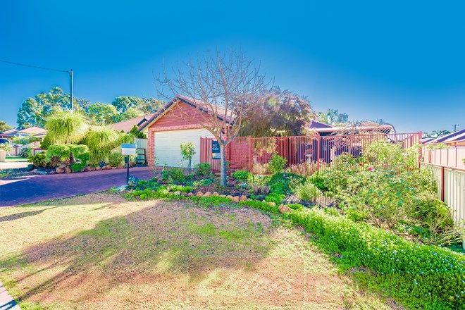 Picture of 41A Evans Street, COLLIE WA 6225